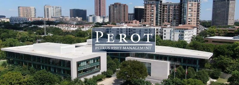 Perot foundation